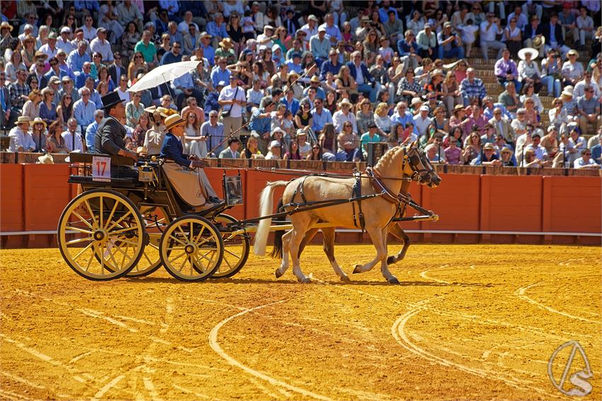 fjmontiel_XL_Exhibicion_Enganches_Sevilla_2026_DSC_9320_DxO