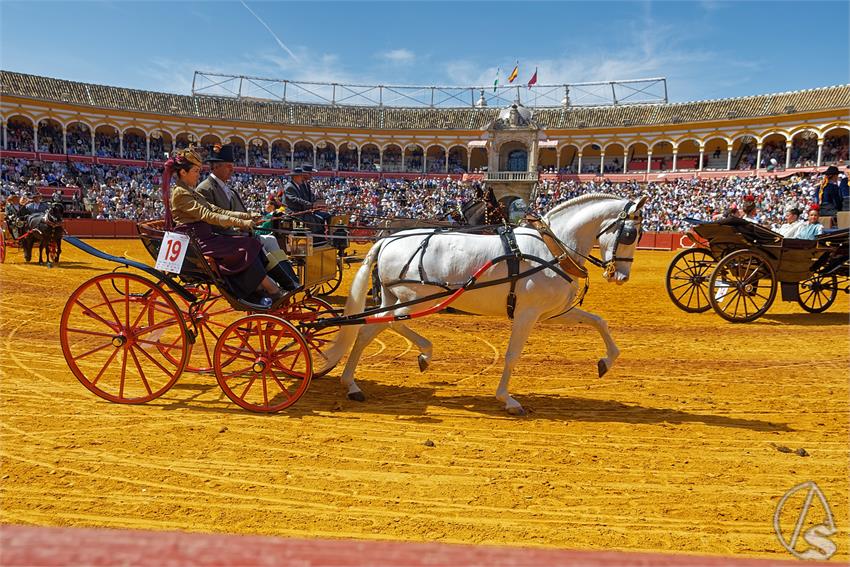 fjmontiel_XL_Exhibicion_Enganches_Sevilla_2026_DSC_9325_DxO