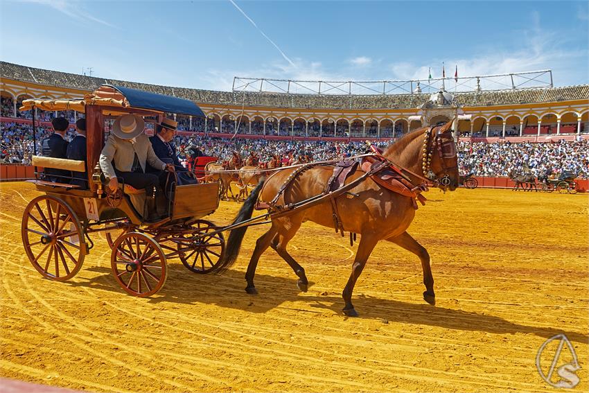 fjmontiel_XL_Exhibicion_Enganches_Sevilla_2026_DSC_9327_DxO