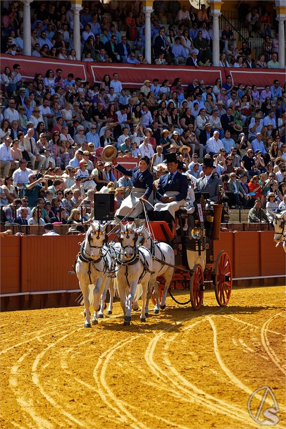 fjmontiel_XL_Exhibicion_Enganches_Sevilla_2026_DSC_9329_DxO