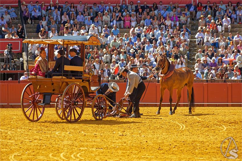 fjmontiel_XL_Exhibicion_Enganches_Sevilla_2026_DSC_9339_DxO