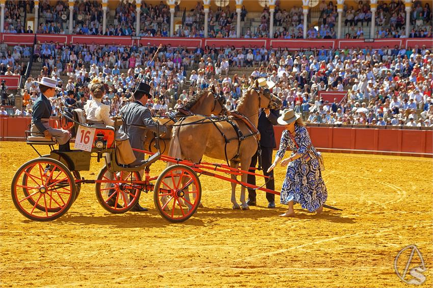 fjmontiel_XL_Exhibicion_Enganches_Sevilla_2026_DSC_9341_DxO
