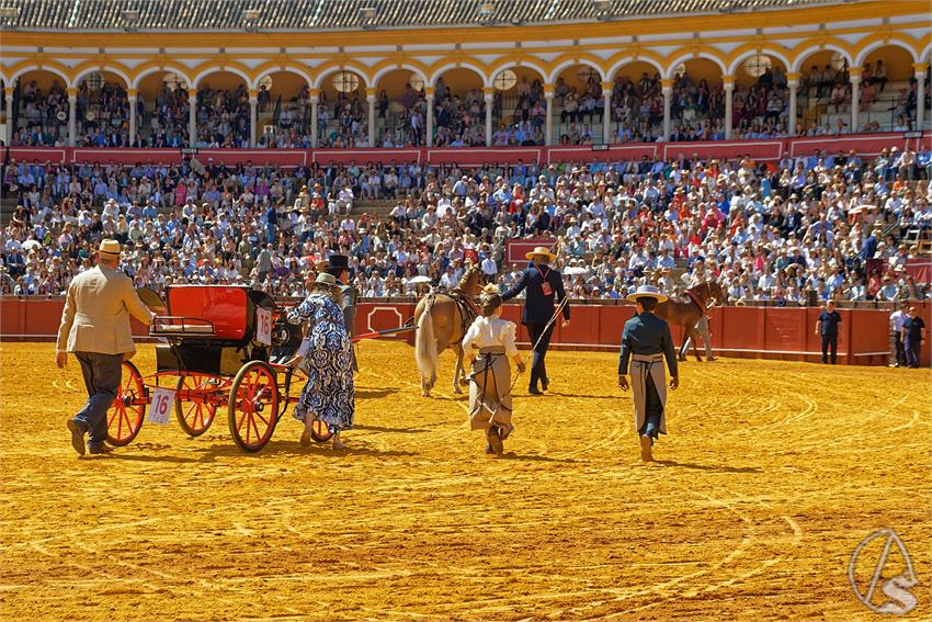fjmontiel_XL_Exhibicion_Enganches_Sevilla_2026_DSC_9342_DxO