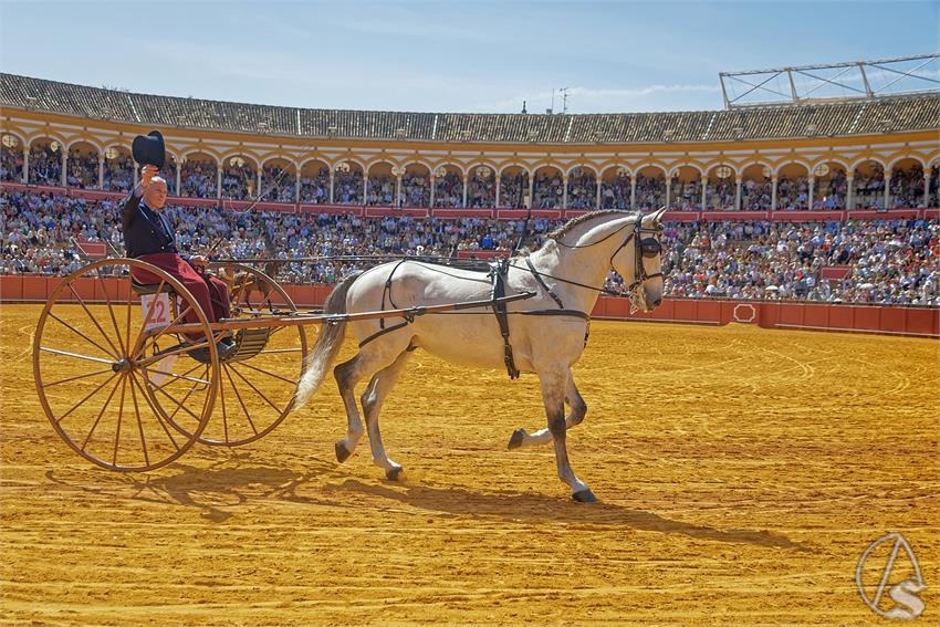 fjmontiel_XL_Exhibicion_Enganches_Sevilla_2026_DSC_9350_DxO