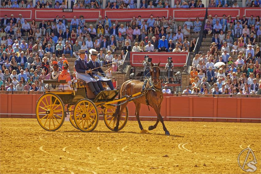 fjmontiel_XL_Exhibicion_Enganches_Sevilla_2026_DSC_9353_DxO