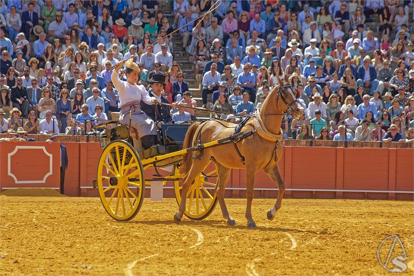 fjmontiel_XL_Exhibicion_Enganches_Sevilla_2026_DSC_9354_DxO