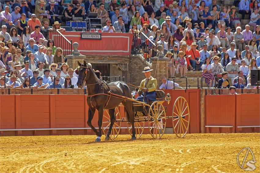 fjmontiel_XL_Exhibicion_Enganches_Sevilla_2026_DSC_9355_DxO