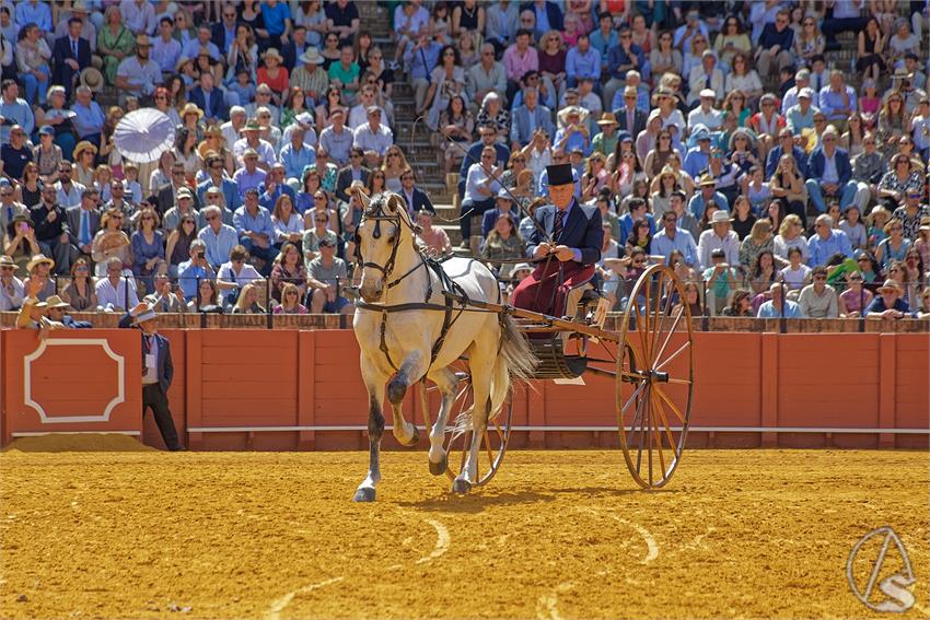 fjmontiel_XL_Exhibicion_Enganches_Sevilla_2026_DSC_9356_DxO