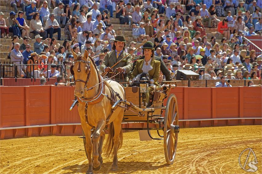 fjmontiel_XL_Exhibicion_Enganches_Sevilla_2026_DSC_9362_DxO
