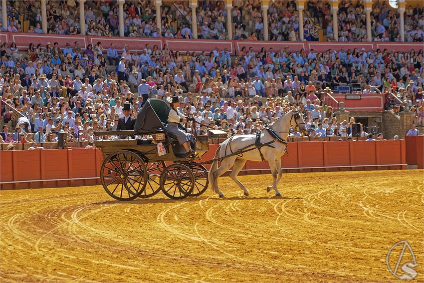 fjmontiel_XL_Exhibicion_Enganches_Sevilla_2026_DSC_9365_DxO