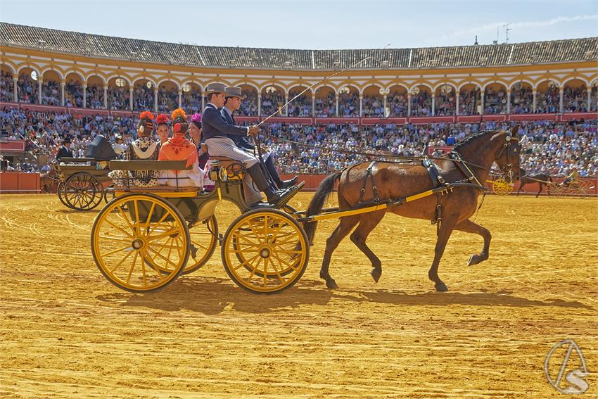 fjmontiel_XL_Exhibicion_Enganches_Sevilla_2026_DSC_9367_DxO