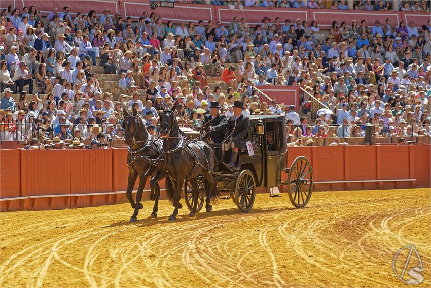 fjmontiel_XL_Exhibicion_Enganches_Sevilla_2026_DSC_9369_DxO