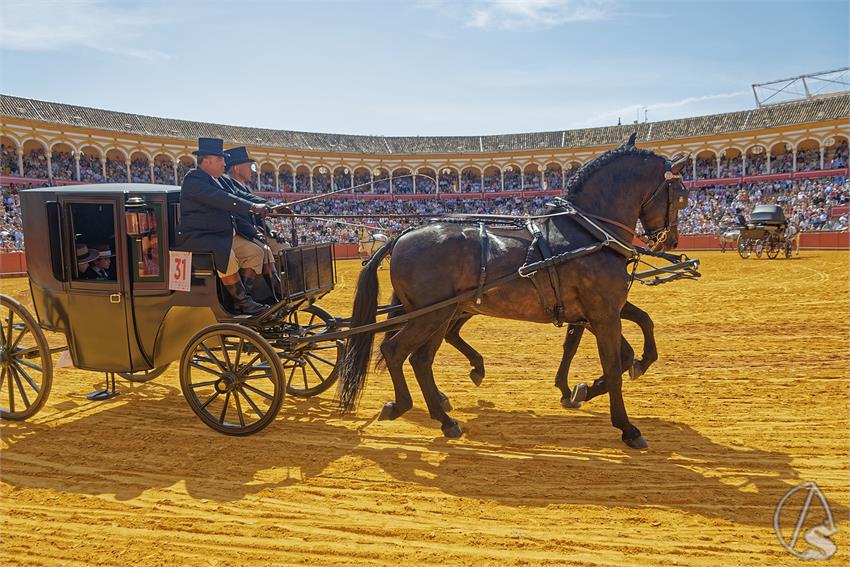 fjmontiel_XL_Exhibicion_Enganches_Sevilla_2026_DSC_9371_DxO