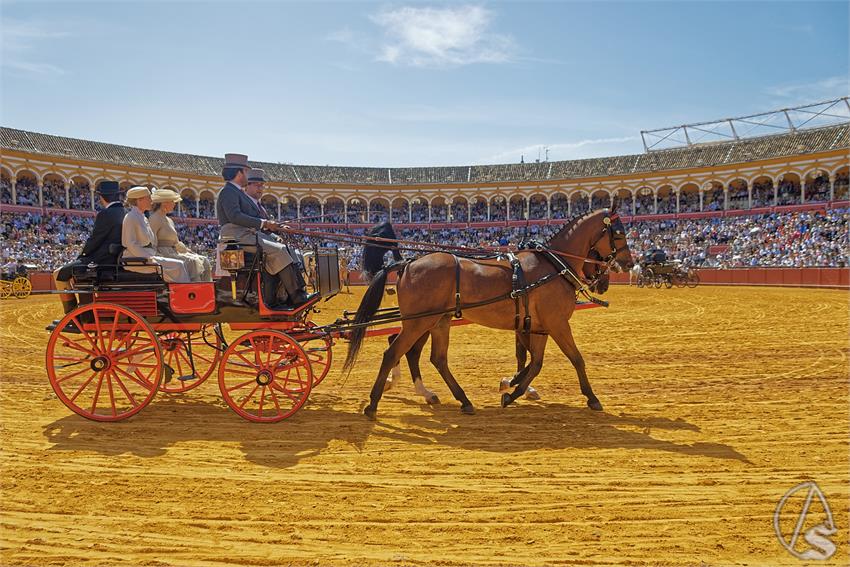 fjmontiel_XL_Exhibicion_Enganches_Sevilla_2026_DSC_9372_DxO