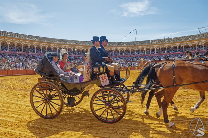 fjmontiel_XL_Exhibicion_Enganches_Sevilla_2026_DSC_9381_DxO