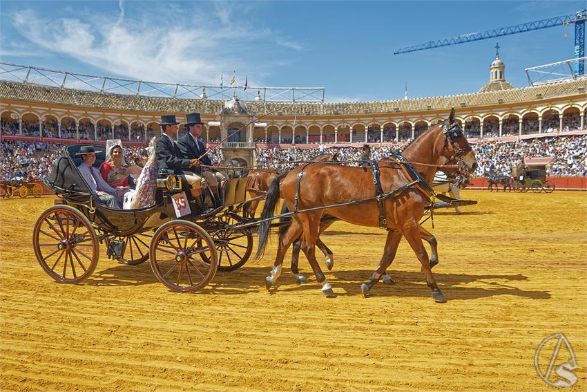fjmontiel_XL_Exhibicion_Enganches_Sevilla_2026_DSC_9388_DxO