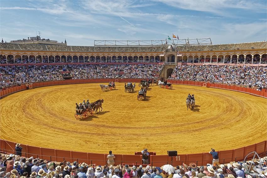 fjmontiel_XL_Exhibicion_Enganches_Sevilla_2026_DSC_9392_DxO