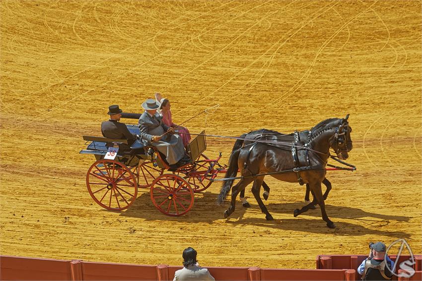 fjmontiel_XL_Exhibicion_Enganches_Sevilla_2026_DSC_9393_DxO
