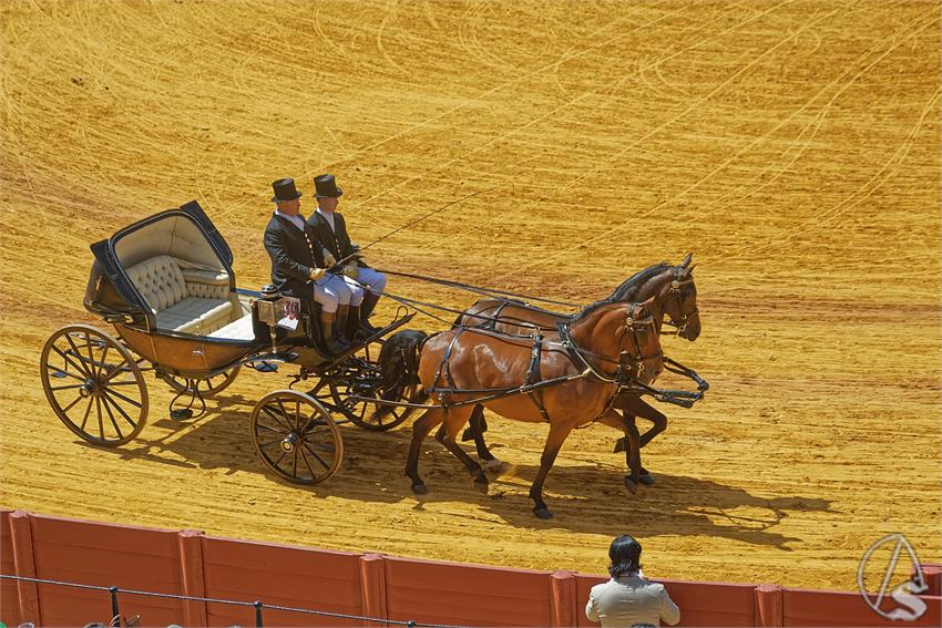 fjmontiel_XL_Exhibicion_Enganches_Sevilla_2026_DSC_9394_DxO