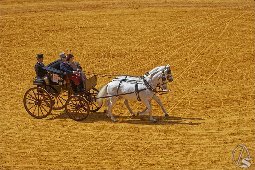 fjmontiel_XL_Exhibicion_Enganches_Sevilla_2026_DSC_9395_DxO