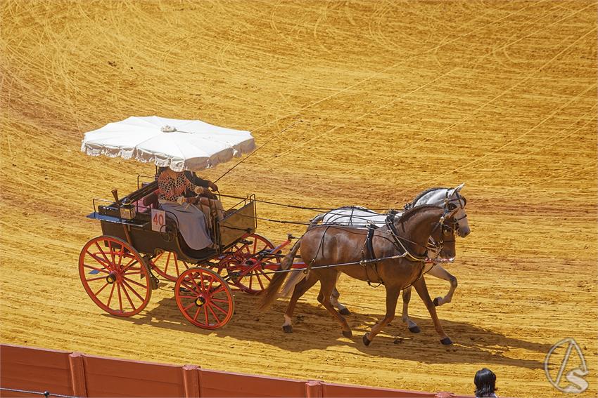 fjmontiel_XL_Exhibicion_Enganches_Sevilla_2026_DSC_9396_DxO