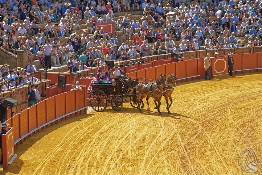 fjmontiel_XL_Exhibicion_Enganches_Sevilla_2026_DSC_9398_DxO