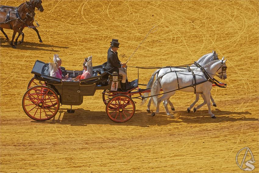 fjmontiel_XL_Exhibicion_Enganches_Sevilla_2026_DSC_9402_DxO