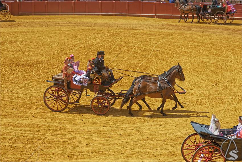 fjmontiel_XL_Exhibicion_Enganches_Sevilla_2026_DSC_9403_DxO