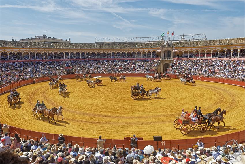 fjmontiel_XL_Exhibicion_Enganches_Sevilla_2026_DSC_9404_DxO