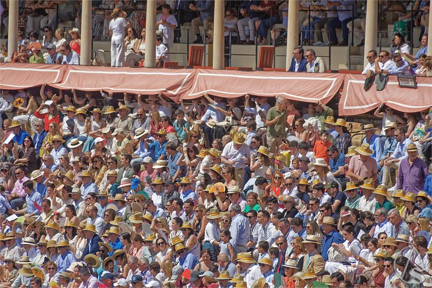 fjmontiel_XL_Exhibicion_Enganches_Sevilla_2026_DSC_9405_DxO