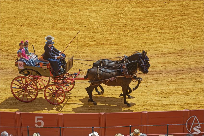 fjmontiel_XL_Exhibicion_Enganches_Sevilla_2026_DSC_9410_DxO