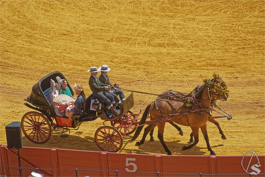 fjmontiel_XL_Exhibicion_Enganches_Sevilla_2026_DSC_9411_DxO