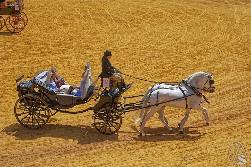 fjmontiel_XL_Exhibicion_Enganches_Sevilla_2026_DSC_9412_DxO_1