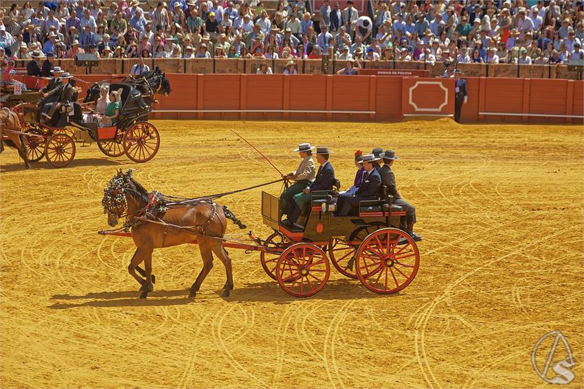 fjmontiel_XL_Exhibicion_Enganches_Sevilla_2026_DSC_9413_DxO_1