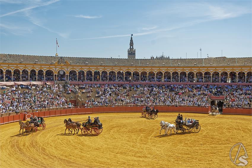 fjmontiel_XL_Exhibicion_Enganches_Sevilla_2026_DSC_9414_DxO