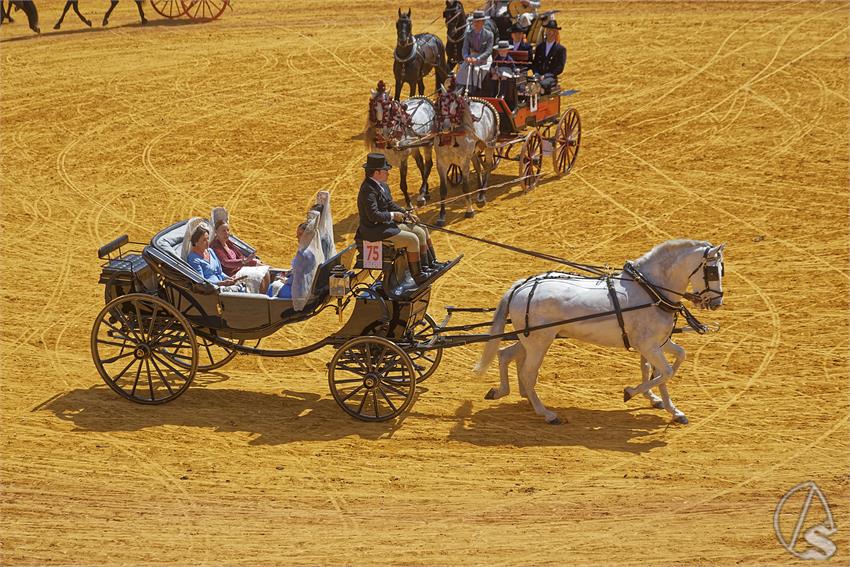 fjmontiel_XL_Exhibicion_Enganches_Sevilla_2026_DSC_9416_DxO