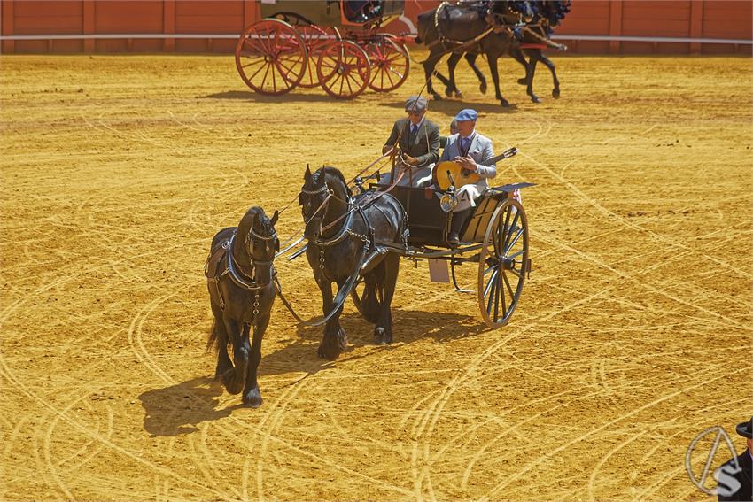 fjmontiel_XL_Exhibicion_Enganches_Sevilla_2026_DSC_9417_DxO