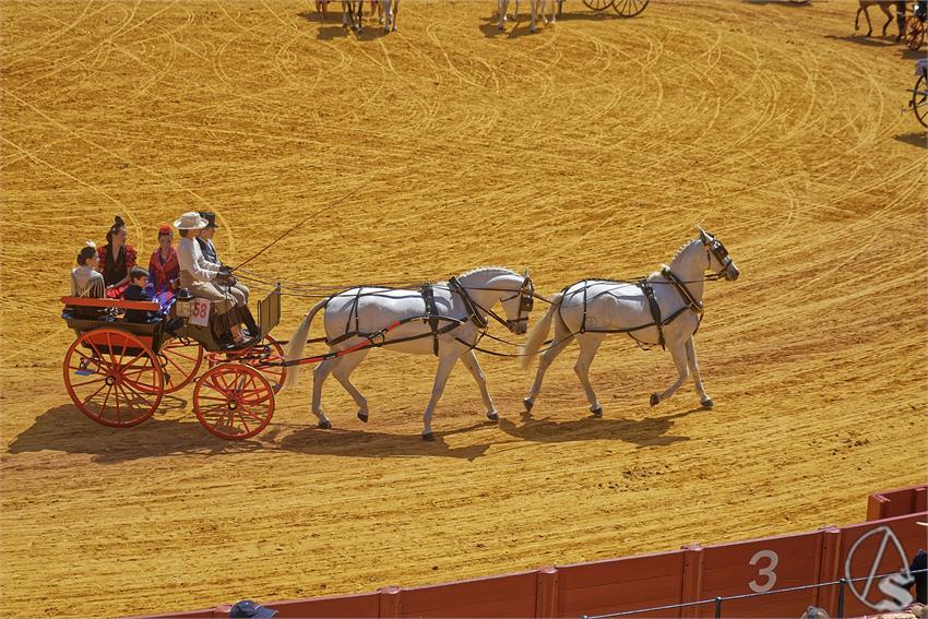 fjmontiel_XL_Exhibicion_Enganches_Sevilla_2026_DSC_9418_DxO