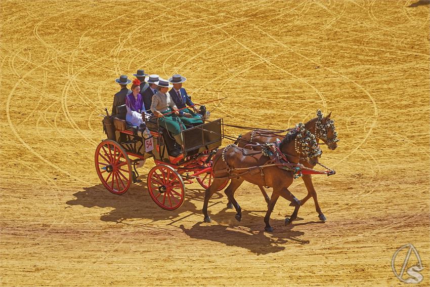 fjmontiel_XL_Exhibicion_Enganches_Sevilla_2026_DSC_9419_DxO