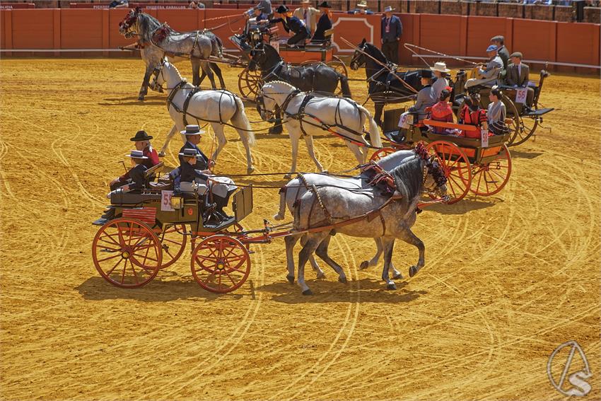 fjmontiel_XL_Exhibicion_Enganches_Sevilla_2026_DSC_9421_DxO