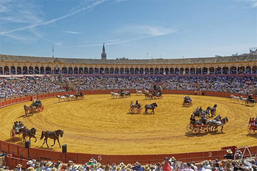 fjmontiel_XL_Exhibicion_Enganches_Sevilla_2026_DSC_9422_DxO