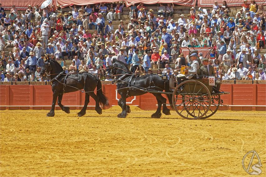 fjmontiel_XL_Exhibicion_Enganches_Sevilla_2026_DSC_9425_DxO