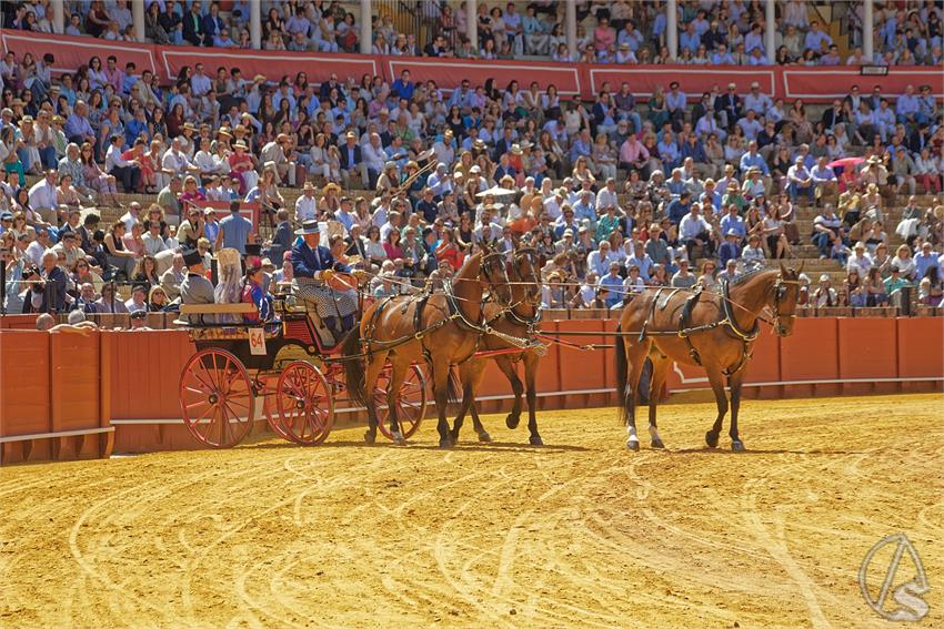 fjmontiel_XL_Exhibicion_Enganches_Sevilla_2026_DSC_9426_DxO