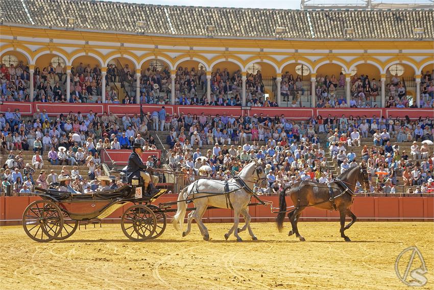 fjmontiel_XL_Exhibicion_Enganches_Sevilla_2026_DSC_9427_DxO