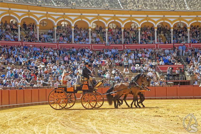 fjmontiel_XL_Exhibicion_Enganches_Sevilla_2026_DSC_9428_DxO
