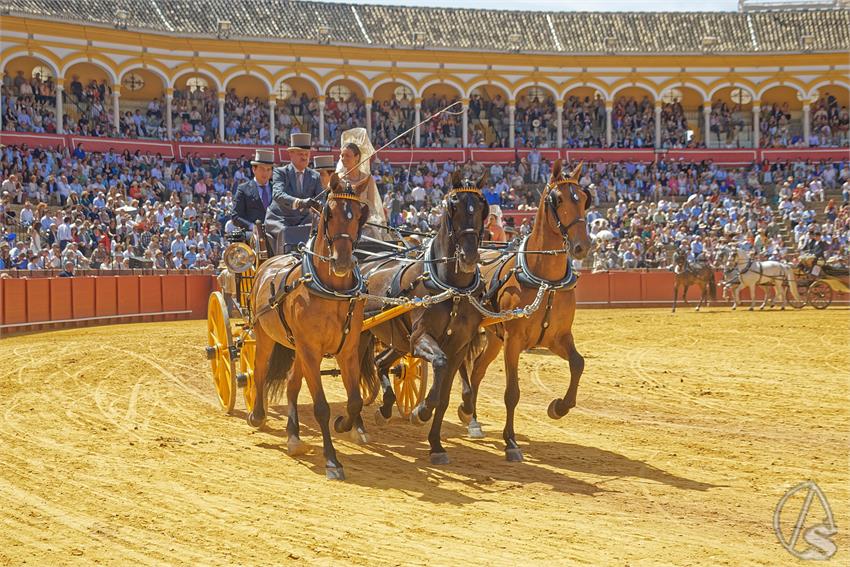 fjmontiel_XL_Exhibicion_Enganches_Sevilla_2026_DSC_9429_DxO