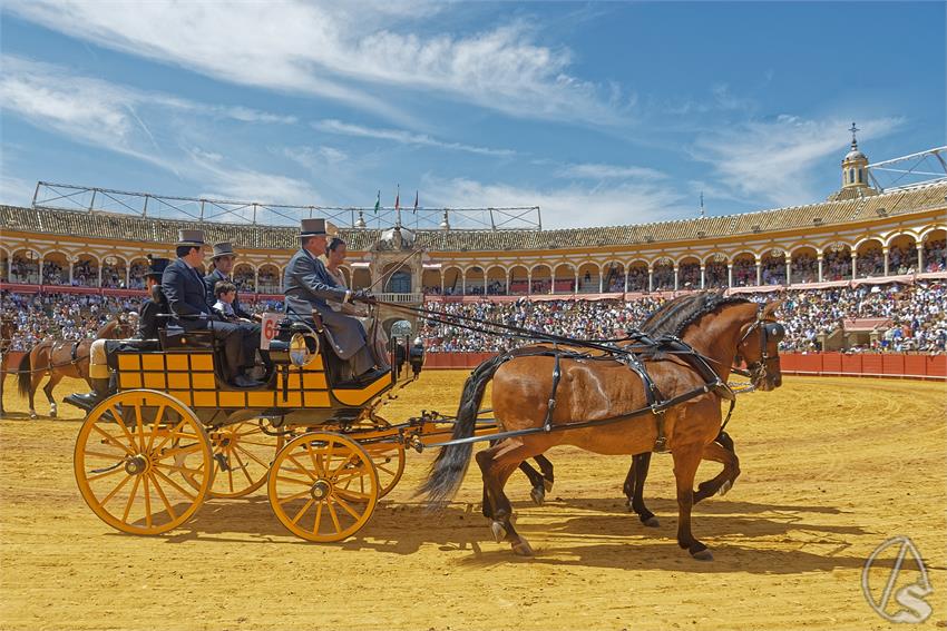 fjmontiel_XL_Exhibicion_Enganches_Sevilla_2026_DSC_9430_DxO