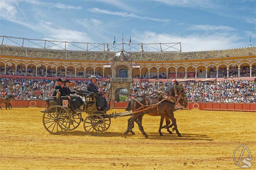 fjmontiel_XL_Exhibicion_Enganches_Sevilla_2026_DSC_9431_DxO