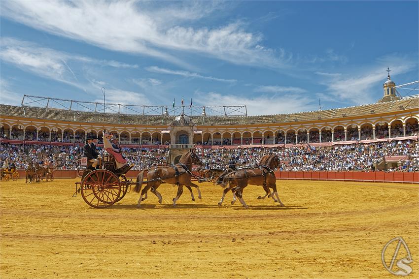 fjmontiel_XL_Exhibicion_Enganches_Sevilla_2026_DSC_9433_DxO