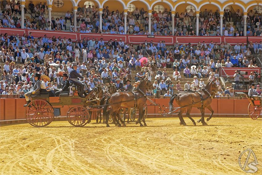 fjmontiel_XL_Exhibicion_Enganches_Sevilla_2026_DSC_9441_DxO